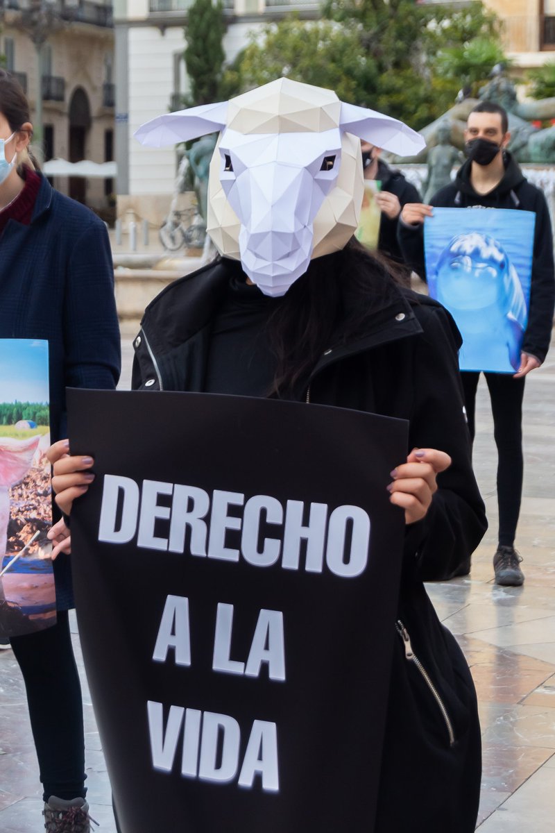 lore_sanchezf's tweet photo. El activismo es uno de mis propósitos en la defensa animal
@VlcAnimalSave 🧡✊
Hasta que toda jaula esté vacía. https://t.co/aWNrhFWgDz