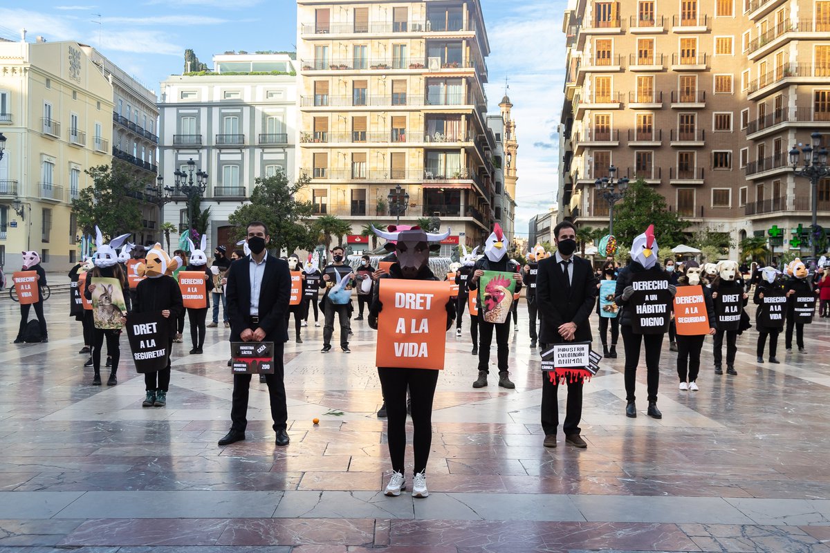lore_sanchezf's tweet photo. El activismo es uno de mis propósitos en la defensa animal
@VlcAnimalSave 🧡✊
Hasta que toda jaula esté vacía. https://t.co/aWNrhFWgDz