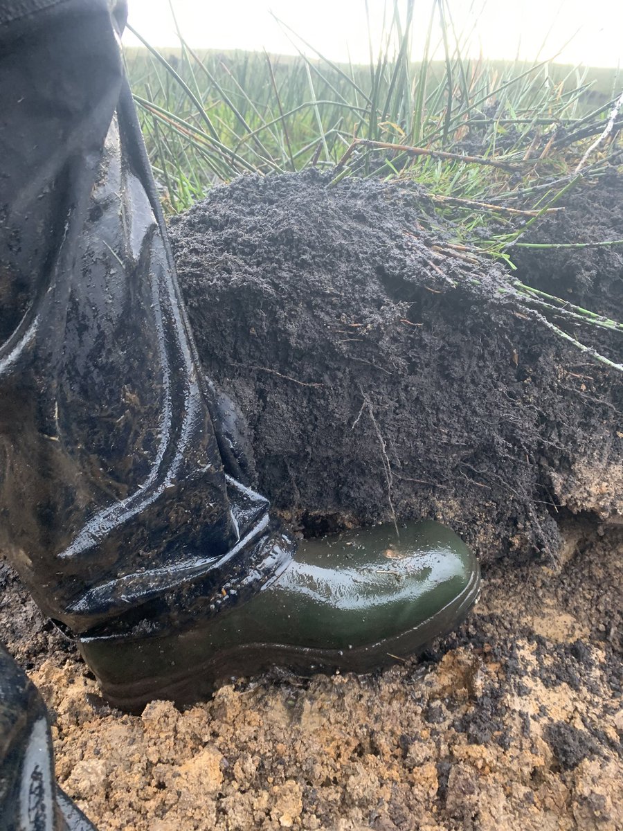 This is a double mould board - creates 2 planting positions from a wider furrow in a single pass. Similar depth, more soil disturbance - lower cost & easily planted, good rooting. Again, furrow alignment needs careful planning. IMHO on this design, tine depth needs to be reduced