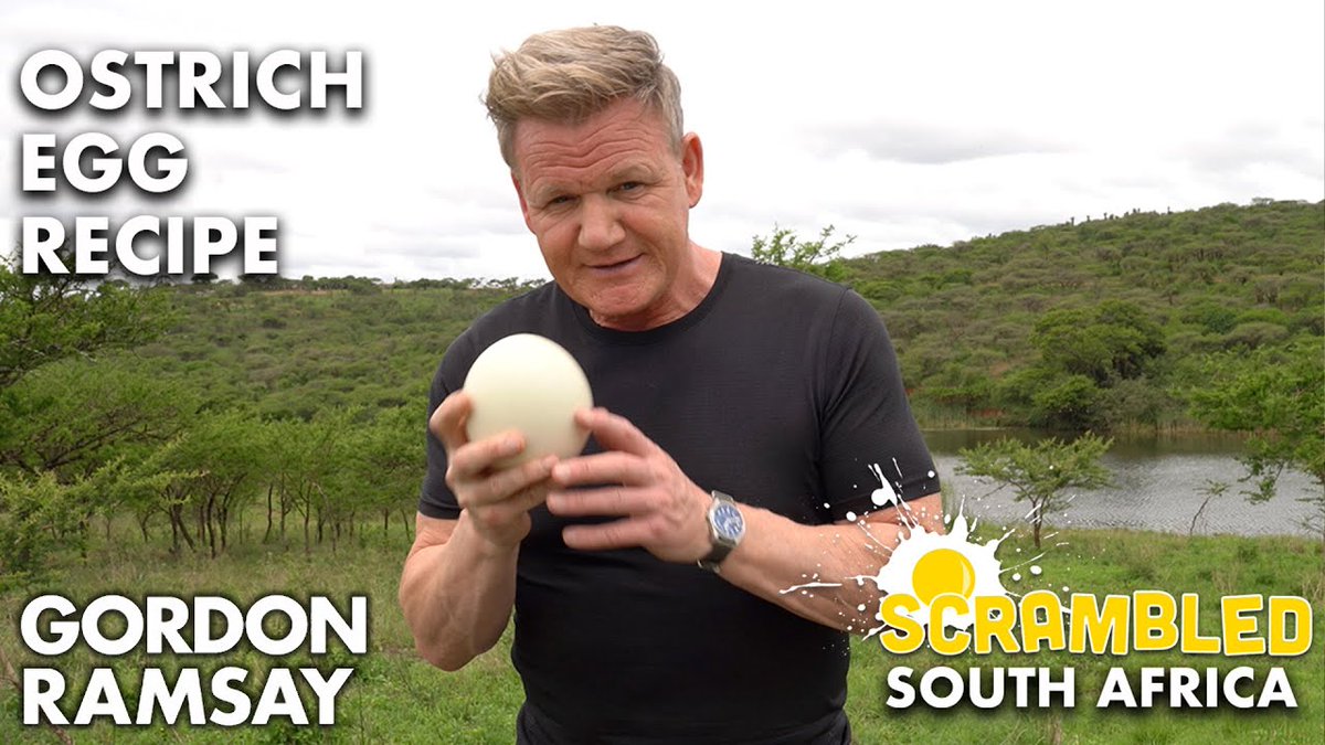 RT @OstriTec: Gordon Ramsay Makes OSTRICH Scrambled Eggs In South Africa https://t.co/sZ3yHTKU8w https://t.co/VXMvItyo4c