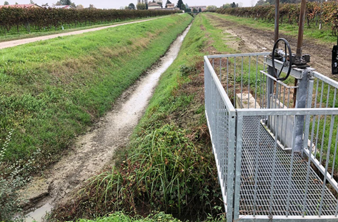 SWAMP PROJECT tweet media