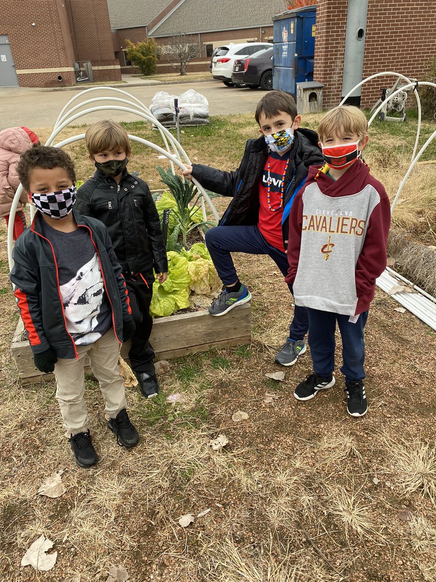 mrswalker_2's tweet photo. We ❤️ harvesting in the @Ranger_Ranch @krsilvestri #wilsonway https://t.co/7hzPxvwvYu