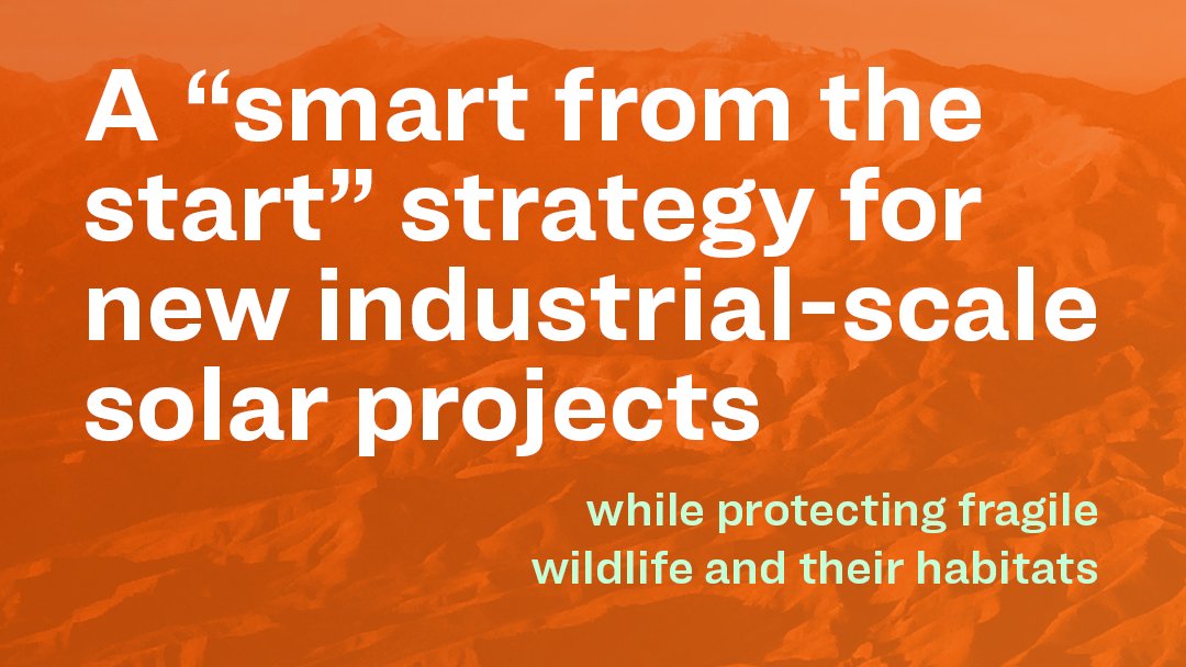 #2: Recommending a “smart from the start” strategy for new industrial-scale solar projects, which can help protect fragile wildlife and their habitats while promoting renewable energy.  #NevClimateAction