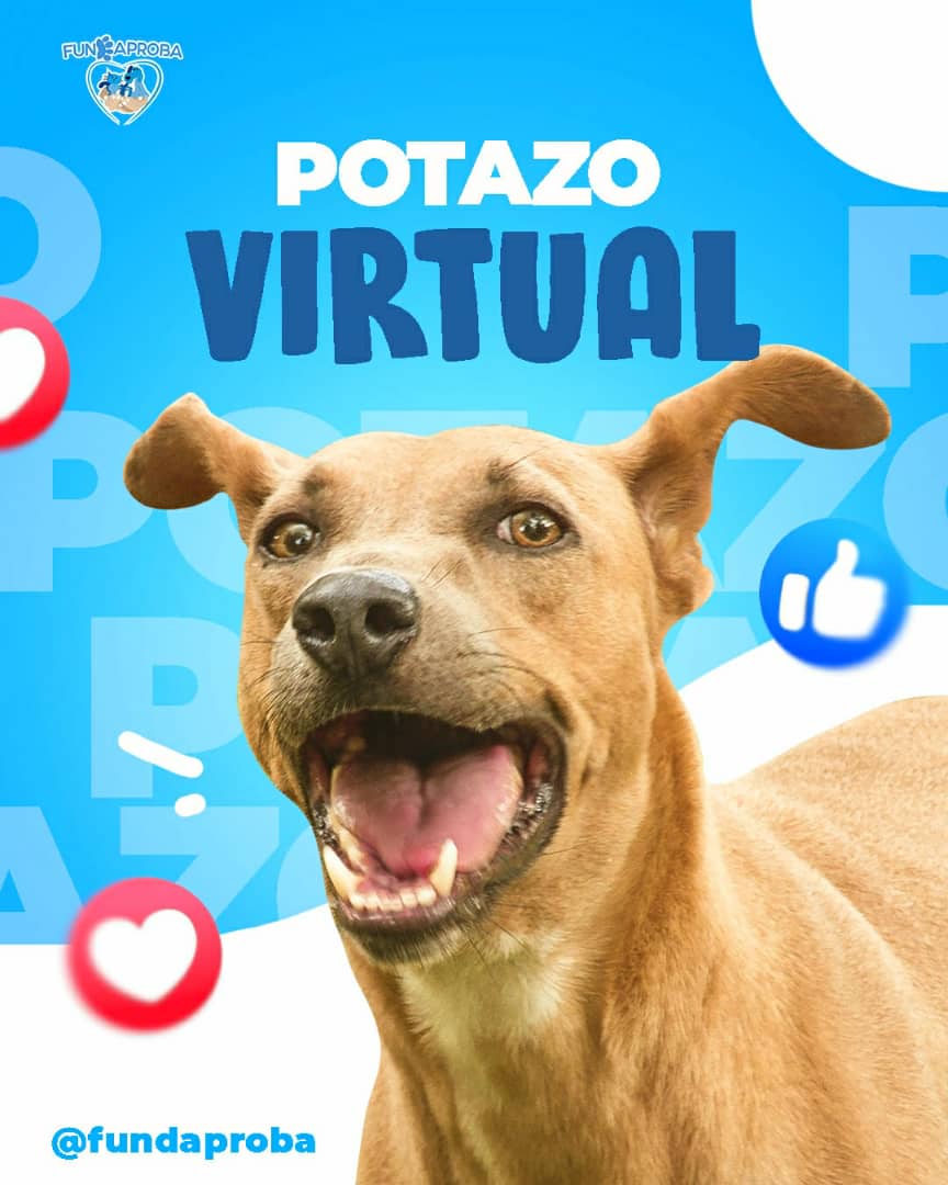 fundaproba's tweet photo. Ayúdanos a Difundir 🙏 #Yosoyfundaproba #colabora #potazovirtual https://t.co/NczZYfGDnt