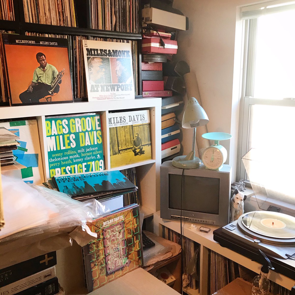 TurntableTokyo's tweet photo. Good Morning Tokyo 
#milesdavis #LP #vinylrecords #vinylcockpit #jazzrecords #recordshop #recordstore #tokyo #japan #turntabletokyo #recordadventure #all #promocopies #vinylsaga #recorddealer #dig #method #update #knowledge #vinyladdict #recordhunter #hustlin #everyday https://t.co/dKcNUiOkXB