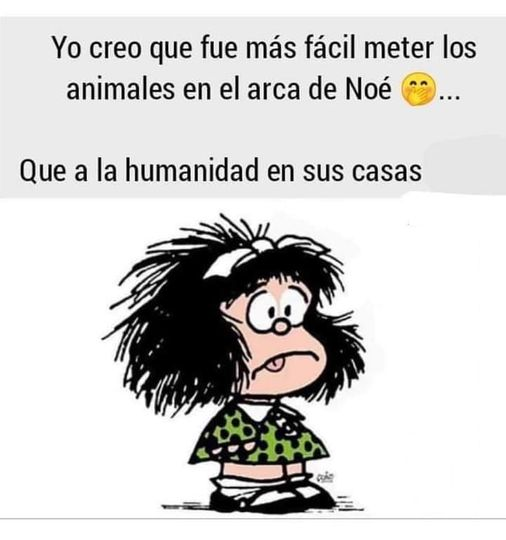Después de ver el desorden humano que somos y por eso mueren los irresponsables pero contagian al que se cuida o al que tenga algún padecimiento, sí creo los animales son mejores y entienden más que nosotros.
#Covid_19 🌏 🌍 🌎 
#Salud 
#Pandemia 
#QuedateEnCasaPorFavor