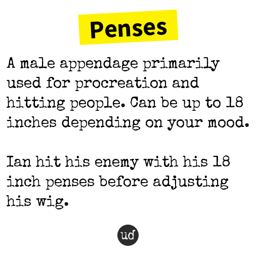urbandictionary's tweet photo. @YimYumMike Penses: A male appendage primarily used for procreation and hitti... https://t.co/PCIV2JiMho https://t.co/NOdr35jKo0