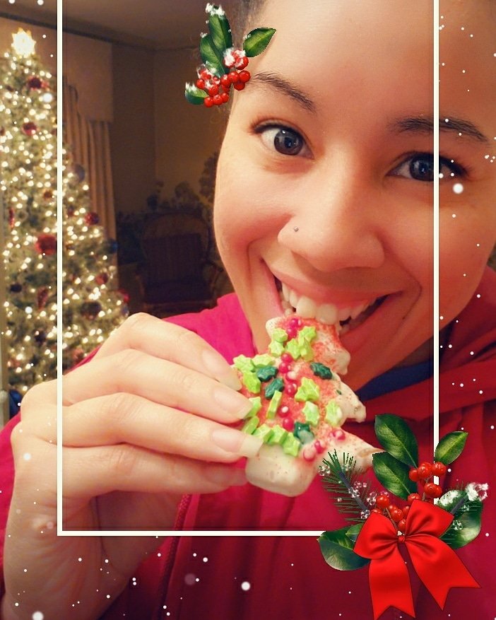 ashknela's tweet photo. Christmas plant fever... holly, pine, fir, artificial, cookie! #12daysofchristmas #day3 https://t.co/NEcn62aE7i