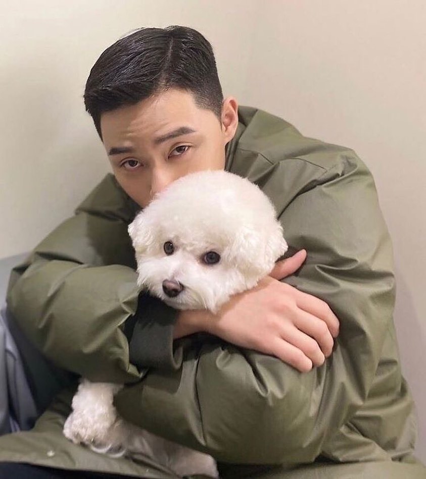 AllaboutSimba's tweet image. 사랑하는 인간 부모에게 생일 축하해. 사랑해. 🎂🎉 🐕 
#HappyBirthdayParkSeoJooon 
#HappySeoJoonDay