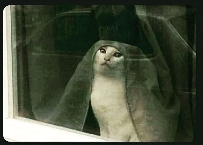 AsadullahJave14's tweet photo. When girls don't find dupata at the time of Azaan..👇 https://t.co/DToB7LHE8g