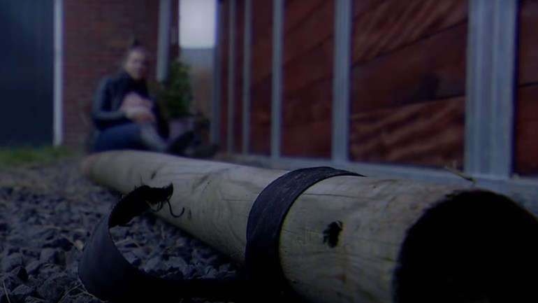 Zeven tips over zware mishandeling hoogzwangere vrouw Borgsweer..