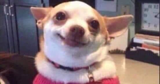 - رجل دخل الجنة عشان سقي كلب فمابالك لو نجحتوا كلبة🙂