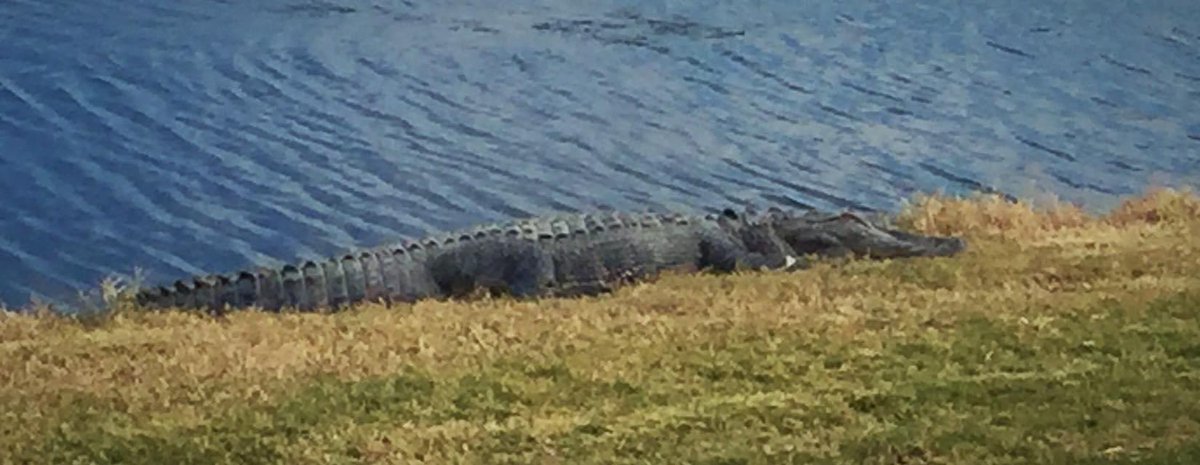 Patriots Point tweet media