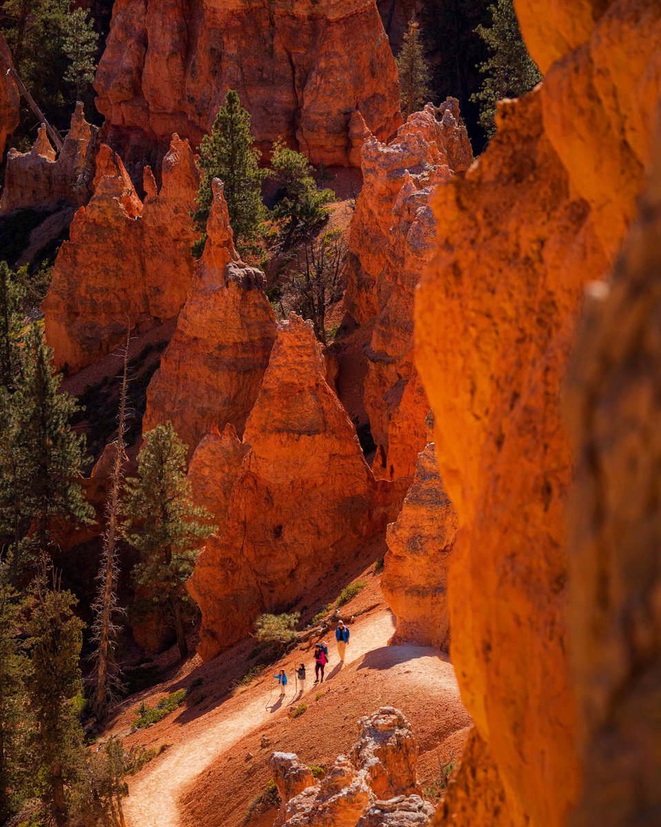 BryceCanyonNPS's tweet photo. How many of you #FindPeace through exercise?

Sometimes moving is the ultimate form of therapy, whether it is a leisurely walk in a park, a moderate swim in the ocean, or a strenuous run on a trail. Whatever it may be, exercise can be a great outlet.

NPS Photo/Keith Moore https://t.co/ILa9Av31oe