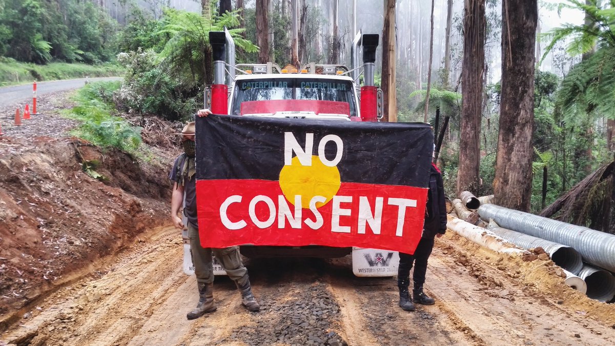 Ecoshouting's tweet photo. Mon logging was halted in Colquhoun forest. Tues Bidwell Maap said no to logging on Errinundra. Today logging halted in Acheron on Woi Worrung, Wurundjeri and Taungurung lands and Gunnai land in Noojee.

Logging must end.
#NoConsent #AlwaysWasAlwaysWillBe https://t.co/cCYlFYAi5P