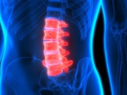 CareNeural's tweet photo. LEVEL OF #SPINALCORDINJURY
#LUMBERSPINE (L1 –L5)
1. Injuries generally result in some loss of function in the hips and legs. 
2. Little or no voluntary control of bowel or bladder, but can manage on their own with special equipment. https://t.co/F5yAX3FwJn
