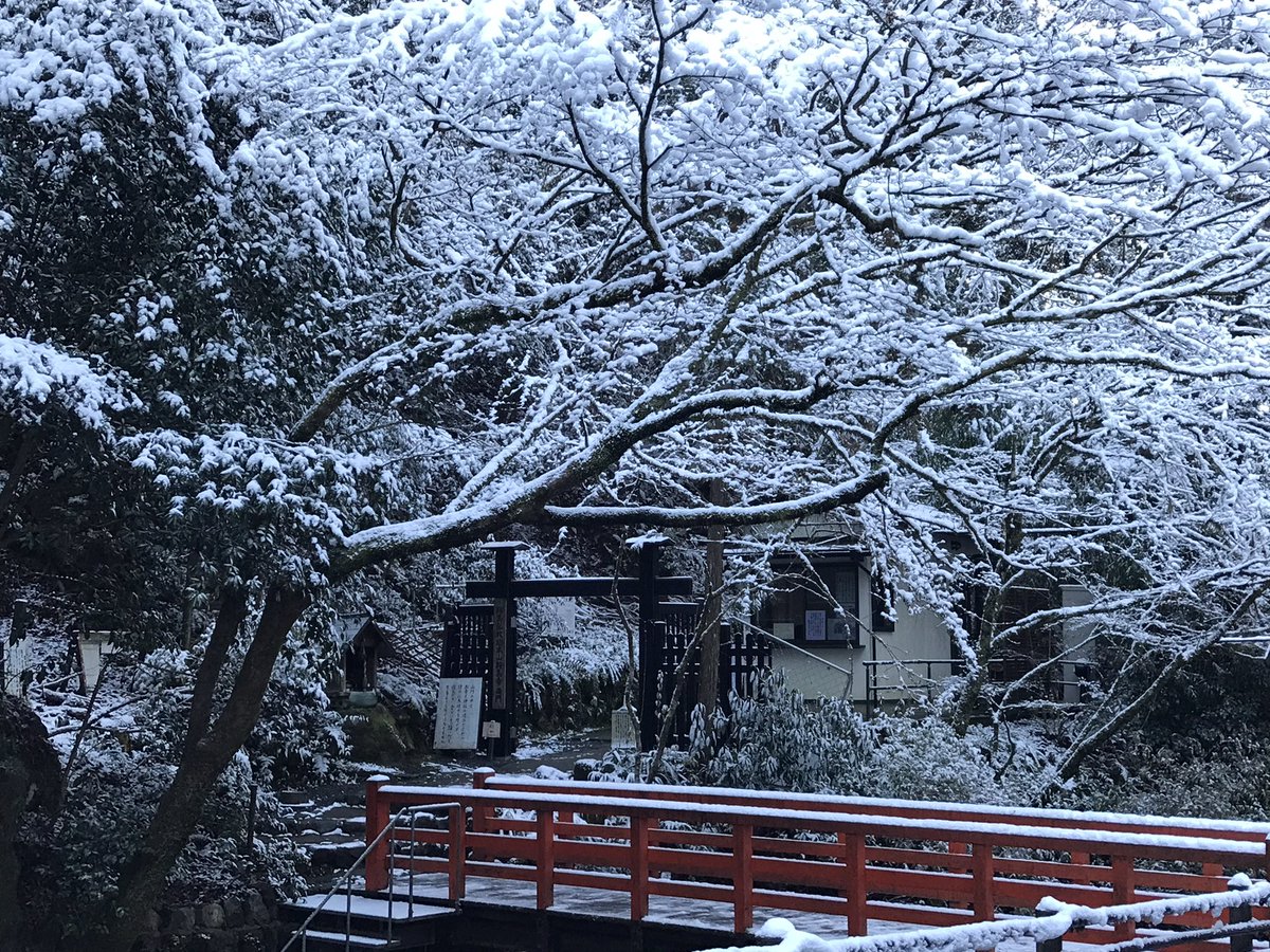 kibune_denbe's tweet photo. おはようございます♪
貴船が雪景色に変わりました。
寒いですが、とても空気がすんでいます。 https://t.co/34n6e8GlAW