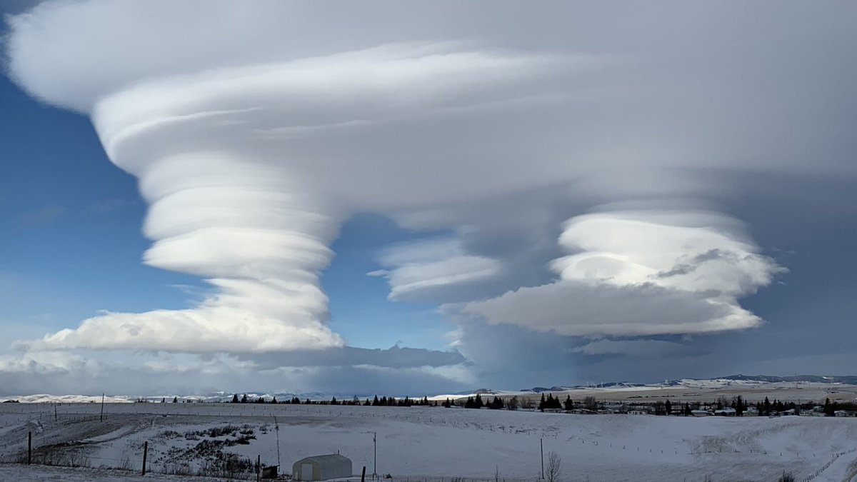 David Spence tweet media