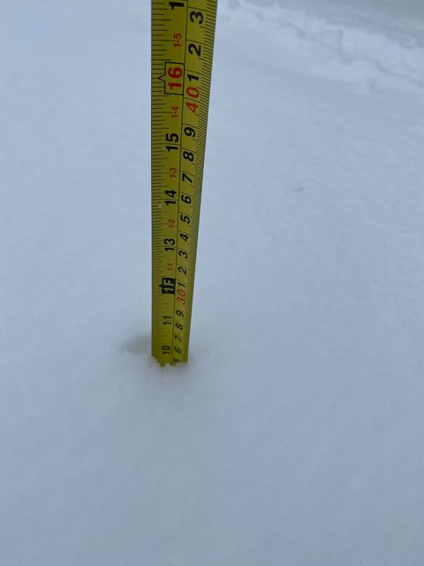 MikeMorganKFOR's tweet image. South of Woodward folks. 9.5" plus! From Cassie Hutchens. This is the most reported so far. Oklahoma has seen TONS of snow so far this Winter already. #OKWX #KFOR4 Mike