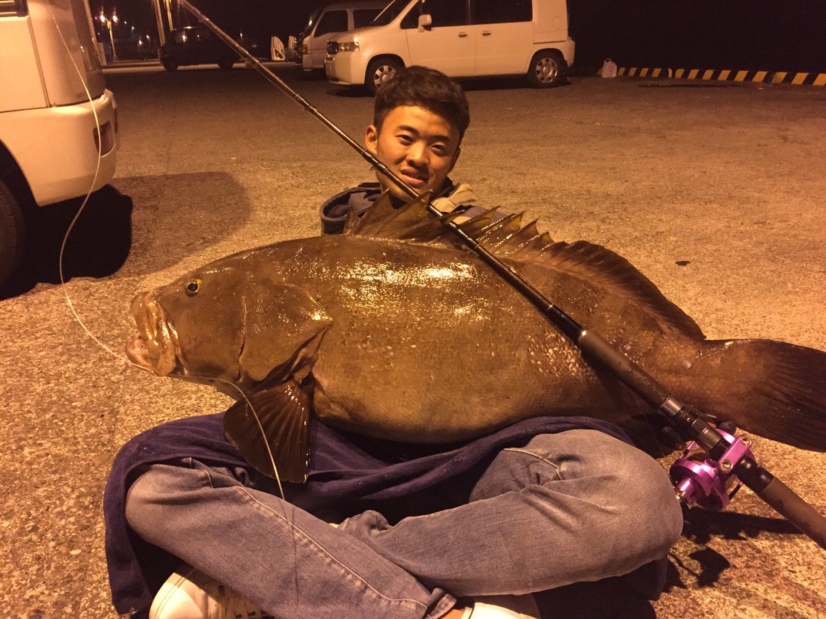 珍魚ハンター Yu 今年のベスト釣果を4枚で振り返る 1枚目 伊豆大島で追っかけ続けてた怪物クエ 2枚目 八丈島でサイトで釣ったニセゴイシウツボ 3枚目 西伊豆の激レアサカタザメ 4枚目 狩野川の念願初キビレ 今年もいい魚 追いかけ続けてた魚も釣れ