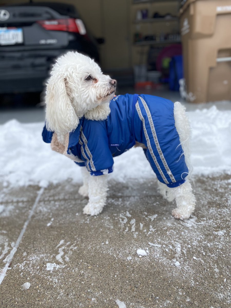 MorganRoth3's tweet photo. @KelsBar He needs a snow suit like jax lol https://t.co/RqHGoP4lH7