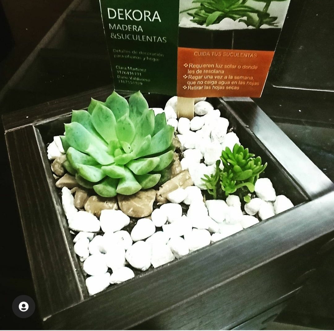 Marce_497's tweet photo. @DanielSamperO En #Bucaramanga Decora tu hogar u oficina. Instagram dekorahogar.bga https://t.co/9pnbuyQLhR