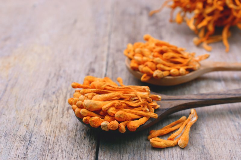 Cordyceps are mushrooms that have multiple benefits. You can generally find them as a supplement .

A Few of the Benefits:

-Reduces Inflammation
-Reduces Anxiety
-Improves Libido
-Promotes Natural Energy
-Manage Type 2 Diabetes
-Promote Athletic Ability
-Promotes Heart Health