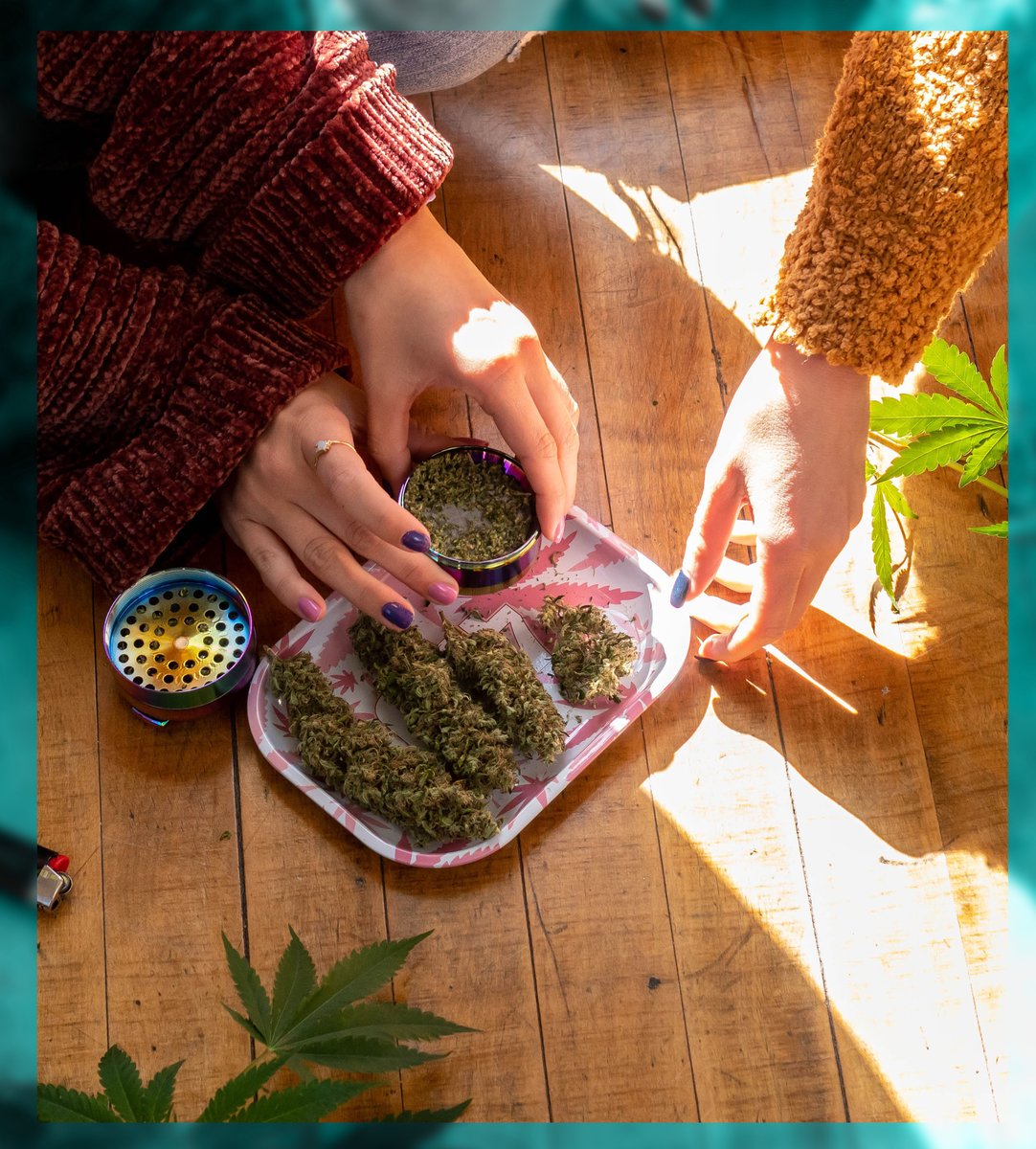 Nothing better than some fat sticky buds. Looks like it's almost time to get high on your own supply...but first, visit our friends <a href="/elevate/">Elevate</a>.holistics to get your Medical Card. #kcmo #kclocal

Must be 18+ to view this content. Medical cannabis use is for certified patients only.