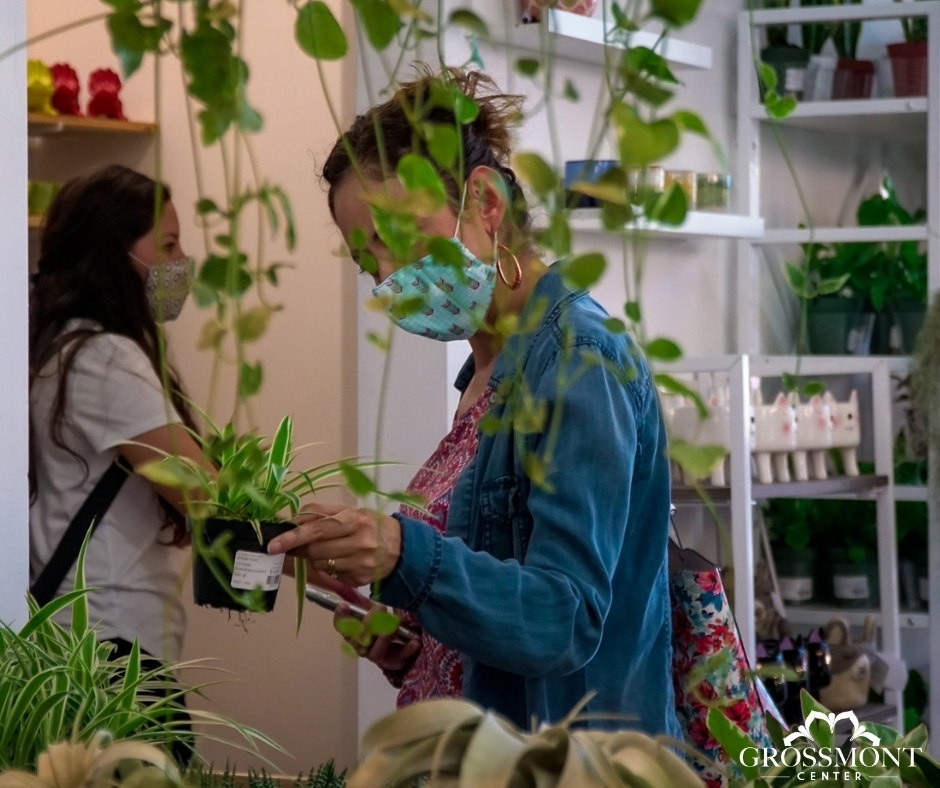 Plants make the perfect #gift for any occasion💚 Stop by @Grossmont_Public_Market to pick one up today! #plants #holidays