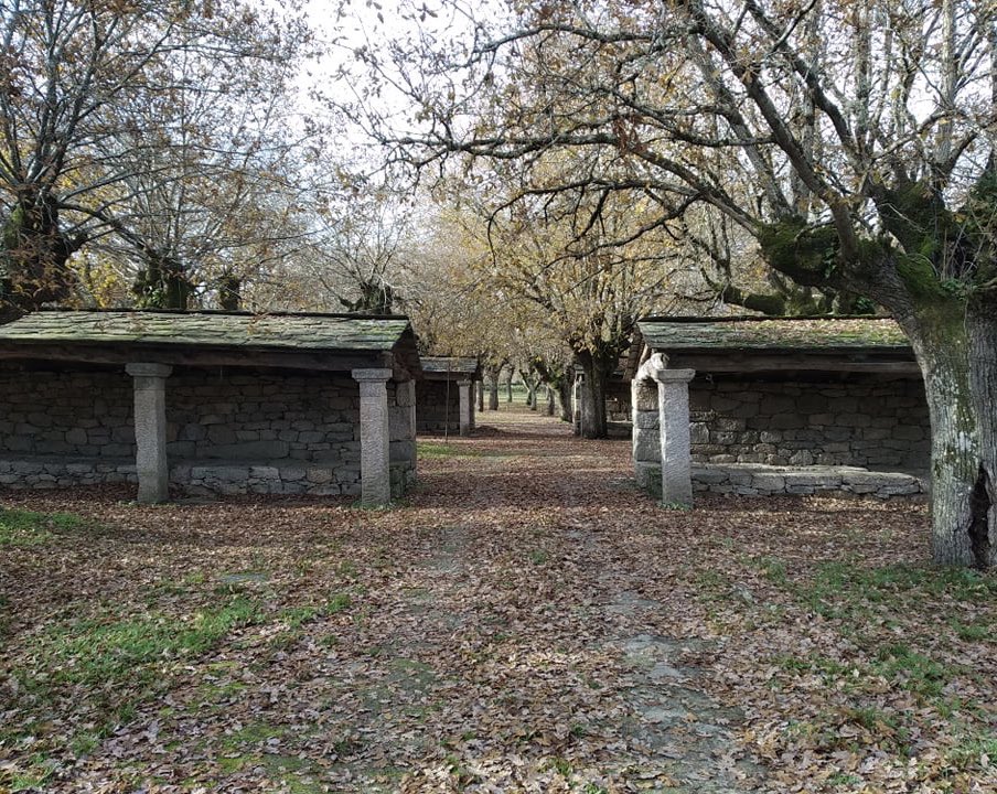 CAMPO DA FEIRA DO PÁRAMO 

Aínda quedan lugares sen estragar