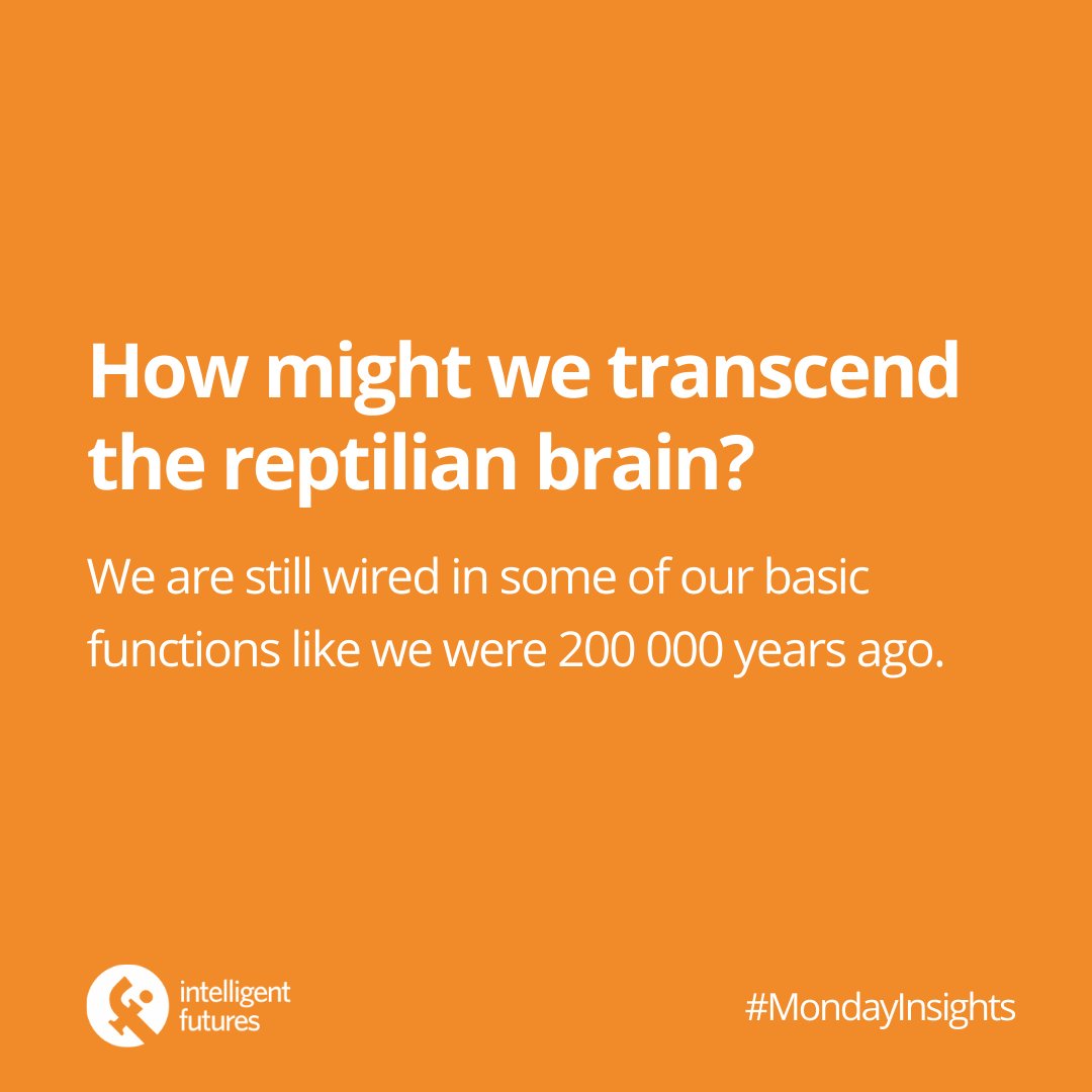 IntFutures's tweet image. This week our intern, Carlota, finished the year strong with the final #mondayinsights of 2020. We learned and discussed ways to reset our reptilian brain, including breathing, meditation, and cleaning! What ways do you reset your brain to ground yourself in the moment?