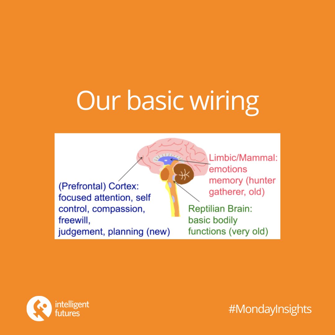 IntFutures's tweet image. This week our intern, Carlota, finished the year strong with the final #mondayinsights of 2020. We learned and discussed ways to reset our reptilian brain, including breathing, meditation, and cleaning! What ways do you reset your brain to ground yourself in the moment?