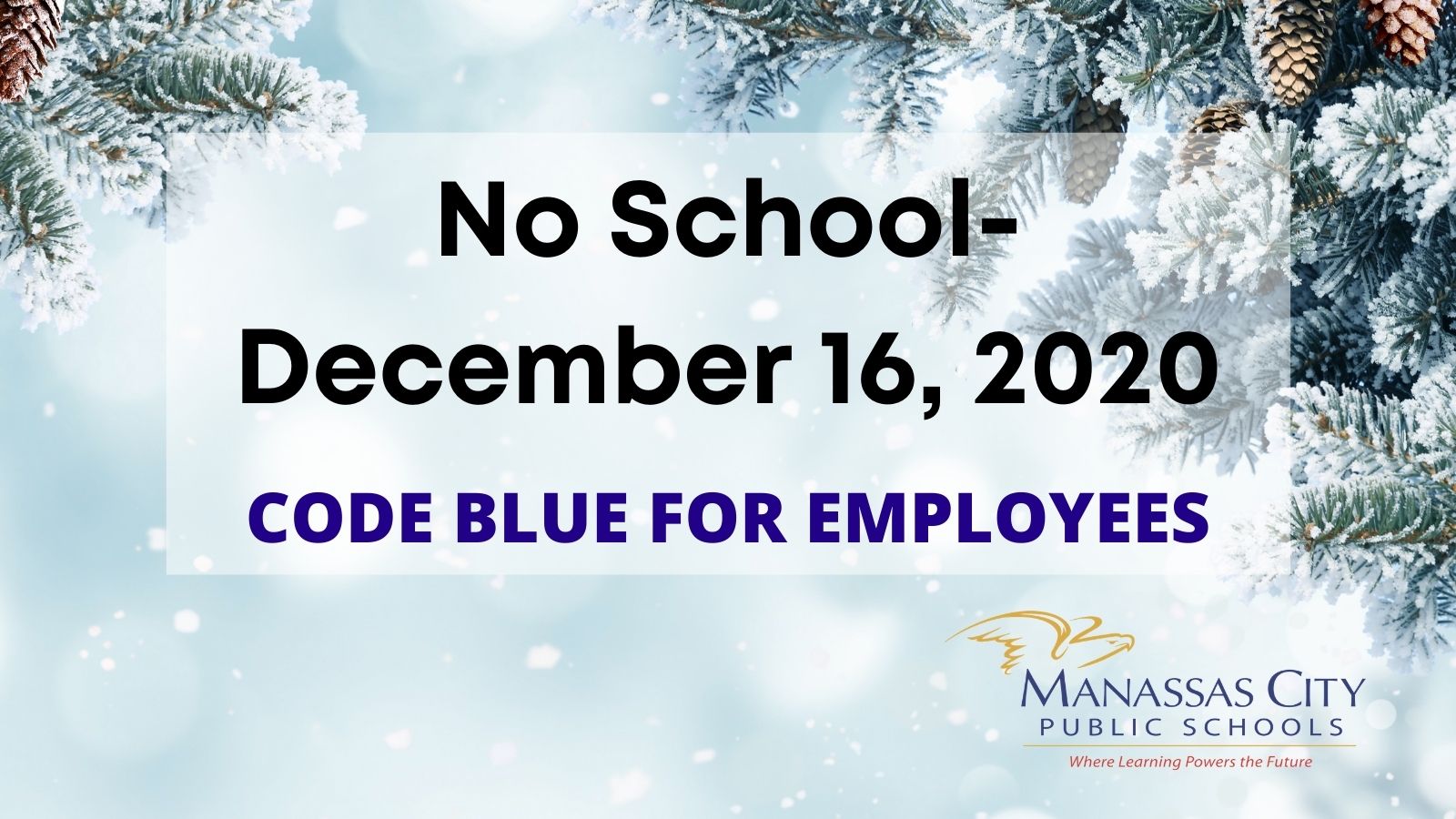 Osbourn High School Class Of 2024 (ohsclass2024) / Twitter