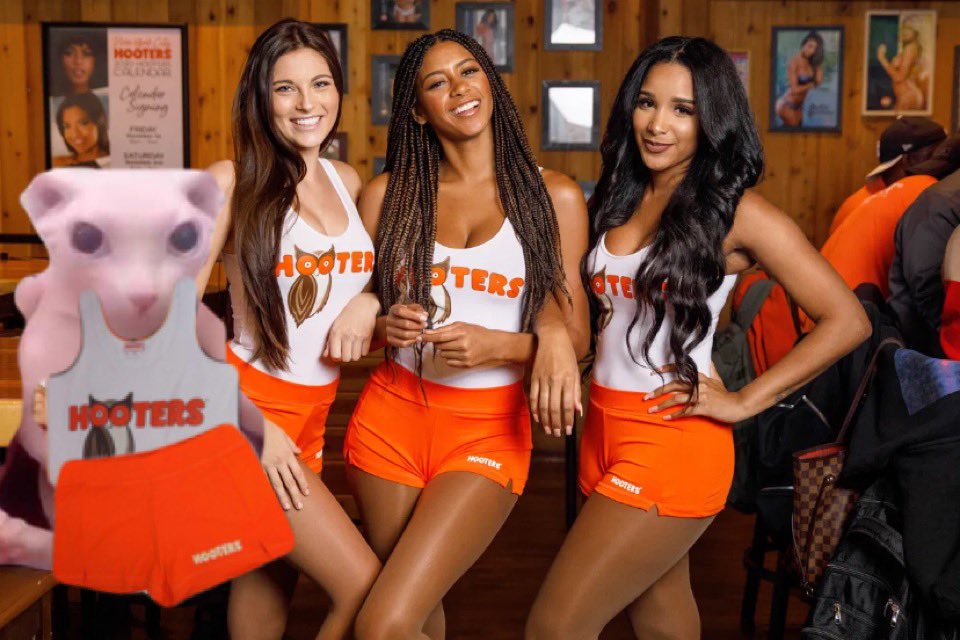 6. hi welcome to bingus hooters how can we take your order. and. 