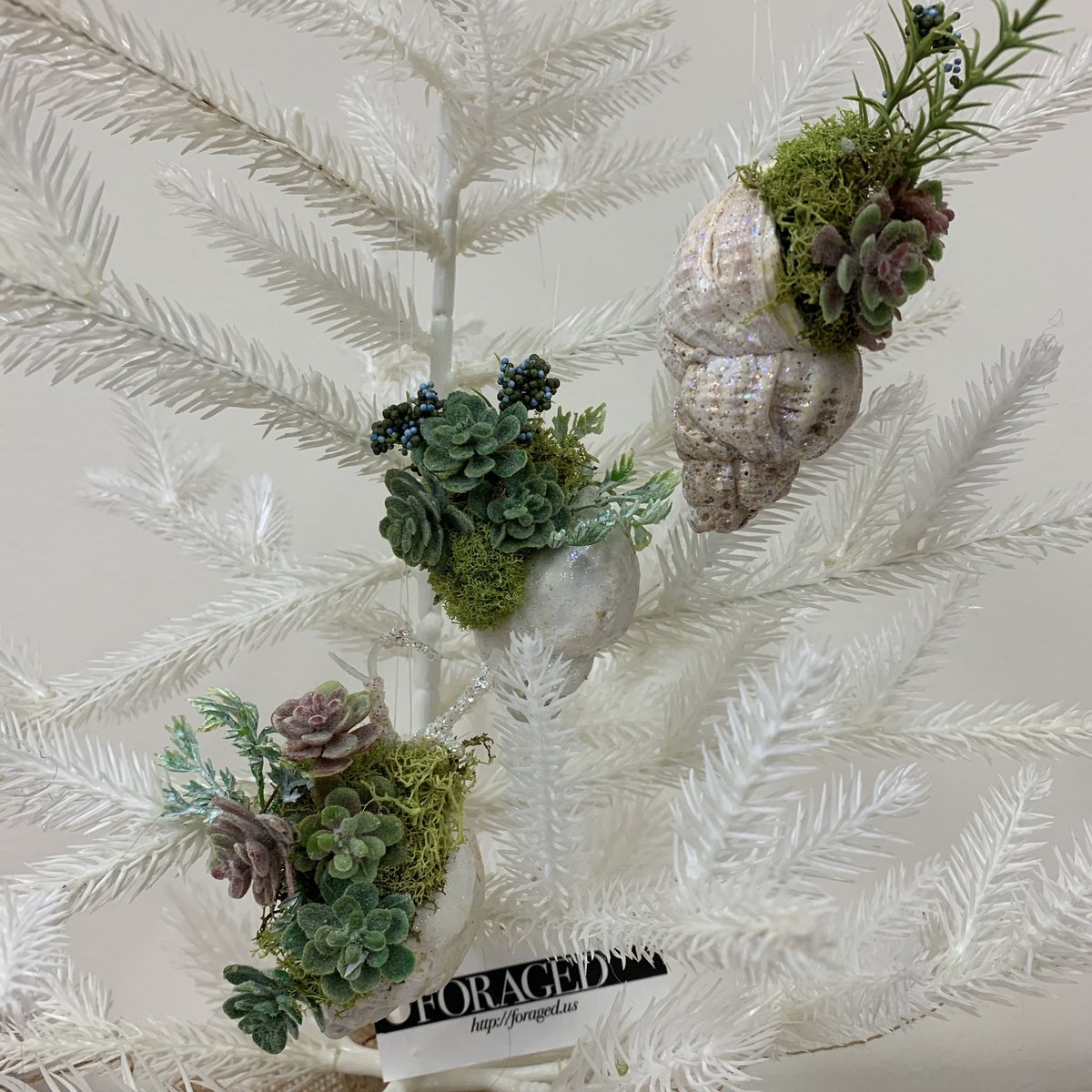 ForagedDecor's tweet photo. Thanks for the great review ssmokahontass ★★★★★! https://t.co/6HXMzb7qcr

 #etsy #christmas #seashellornament #succulentornament #coastalornament #beachyornament #christmasornament  #forageddecor https://t.co/8iWhgVKPR3