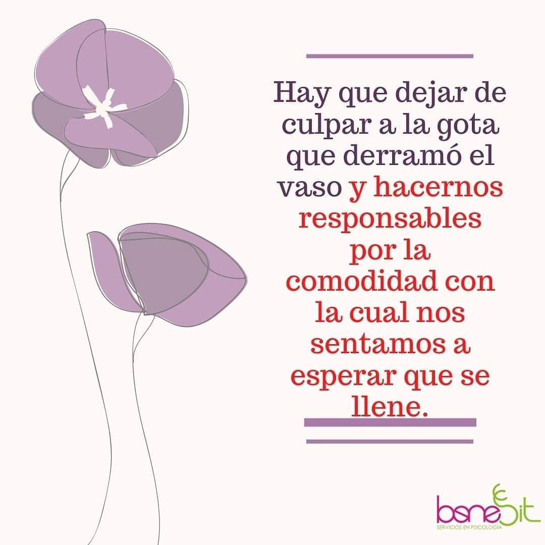 BeneSit tweet picture