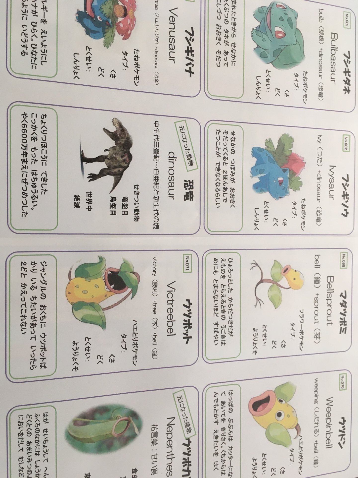 佑 ポケモンの英語名が面白いよー って前に見たので ポケモン図鑑作ってみてる デザインの元ネタであろうリアル生物情報付きで理科の勉強にもな れ ポケモン おうち英語 小学生 T Co Okqdvvopke Twitter