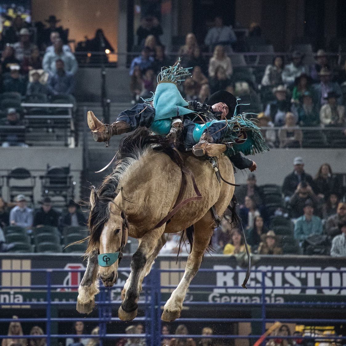 Cowboy_Plus's tweet photo. First time NFR qualifier AND bareback riding average winner Jesse Pope going 89.5 in Round 10 on Pickett Pro Rodeo's Uncapped! 

Photo: @TheWrubes https://t.co/A6VXcAEkes