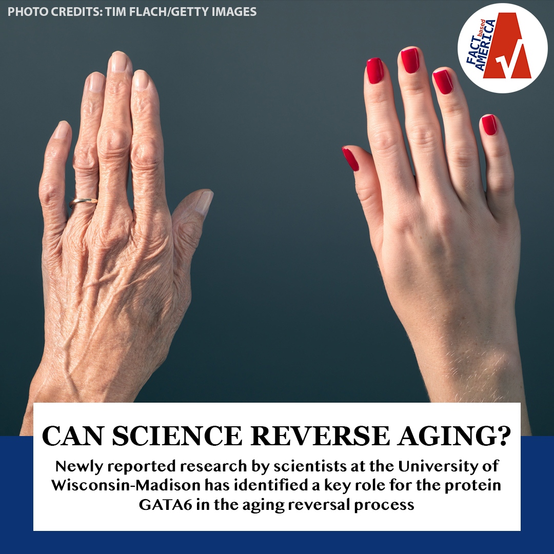 factsforamerica's tweet image. Gene responsible for cellular aging in humans identified

Read the full article below: 
factbasedamerica.org/post/gene-resp…

// #agereversal #aging #agingreversal #cells #biology #biologynews #science #sciencenews #medicine #medicinenews //