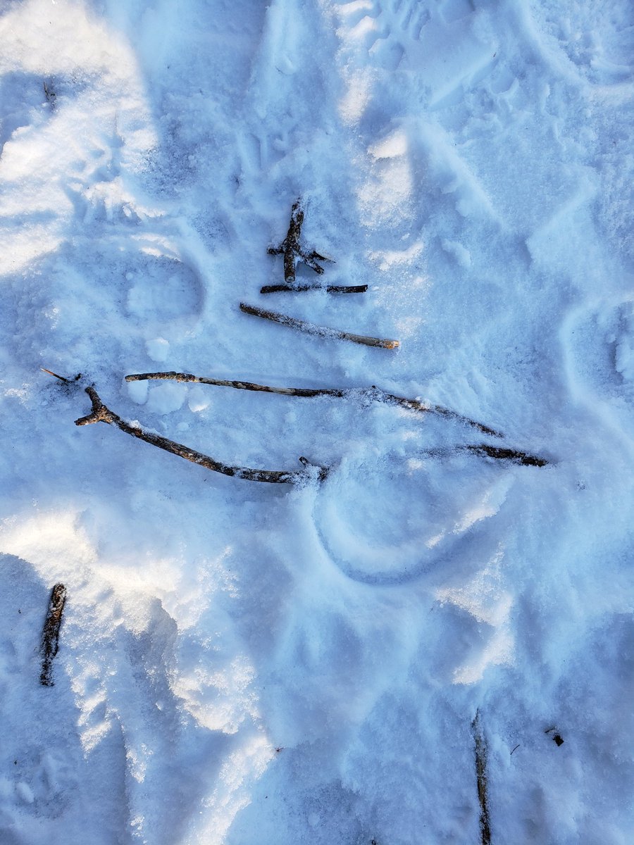 ShieldJanet's tweet photo. Making winter art with nature in Kindergarten. Snowflakes and Christmas trees @WattPS #feedallfour @tldsb https://t.co/WZ4YsReqFS