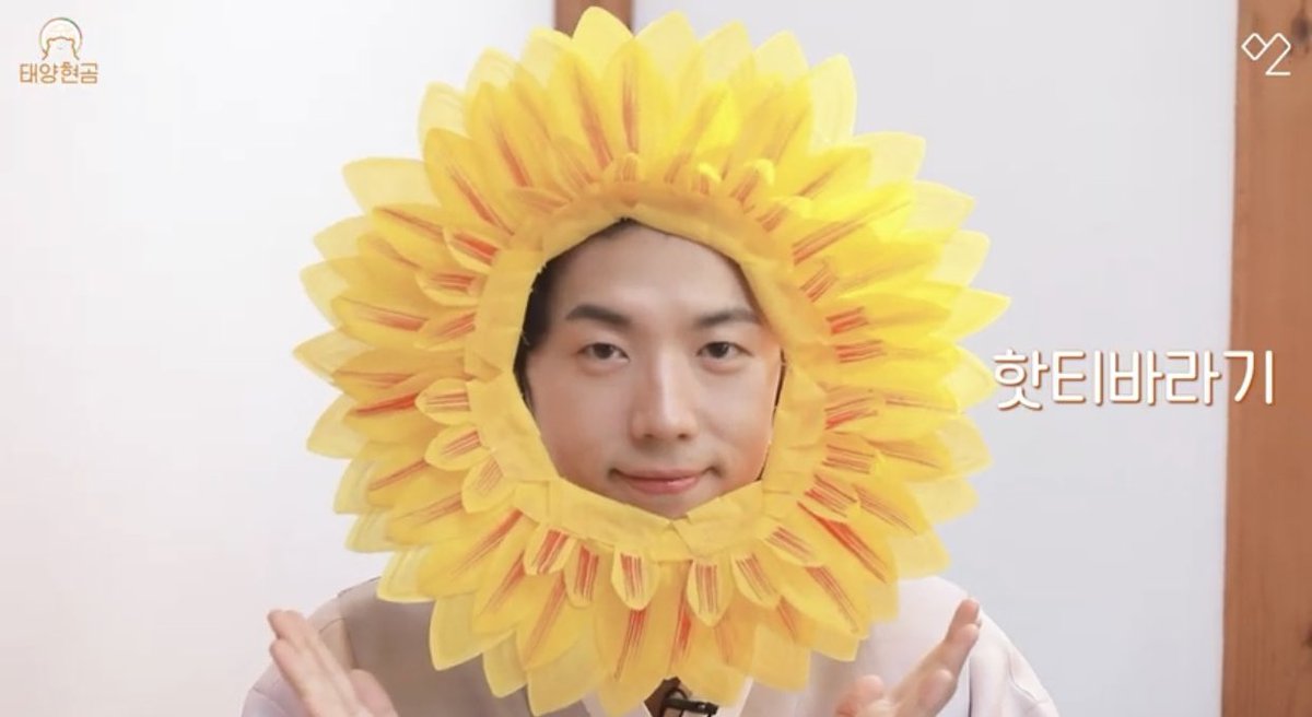 2pm as cats, a thread