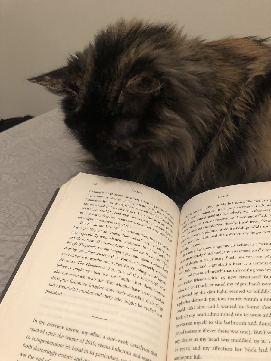 Literary kitty