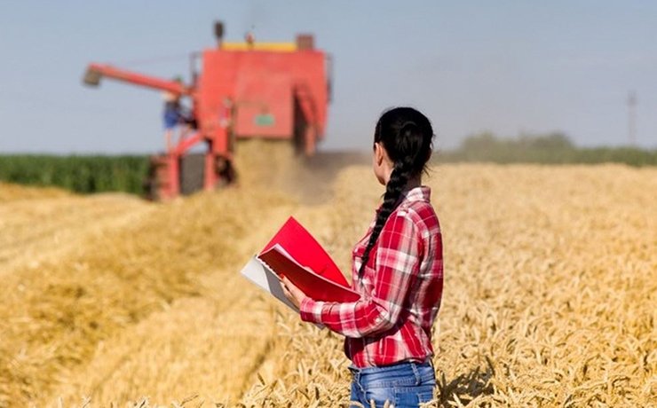 NorteAgroTO's tweet photo. Empresa renomada do agronegócio abre inscrições para vagas de auditor de campo no Tocantins e em outros 10 estados.
Saiba mais: https://t.co/11MH0xzjdF
 #NorteAgroTO #tecnologianocampo #tecnologia #auditordecampo #emprego #trabalho #trabalhonocampo #empregonocampo #GenesisGroup https://t.co/jR9urzs0WX