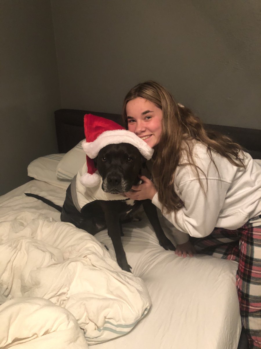 SophiaSuds4's tweet photo. Urban Loves His Santa Hat and Is Ready for Santa To Bring Him Presents!! @CouncilWhitmer  #SpiritWeek https://t.co/V20WN0UgLQ