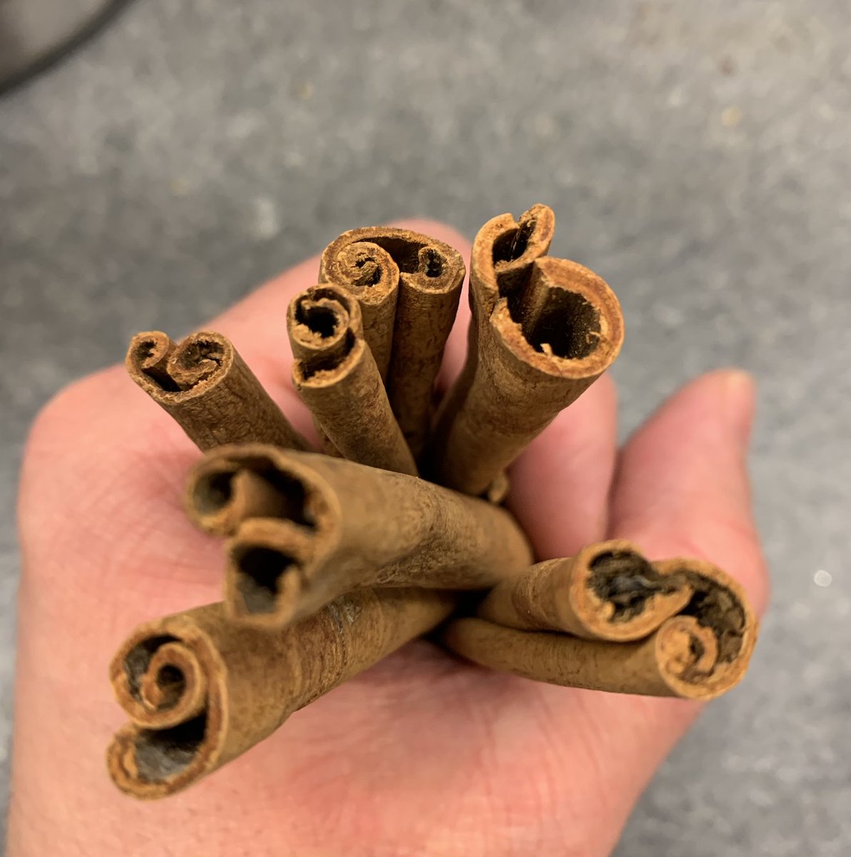 Menthol, the chemical in mint, has the opposite effect, causing a cooling sensation. It's an insect repellent. Cinnamaldehyde, the chemical in cinnamon, is also used as an insecticide.Why do we like them if insects don't?