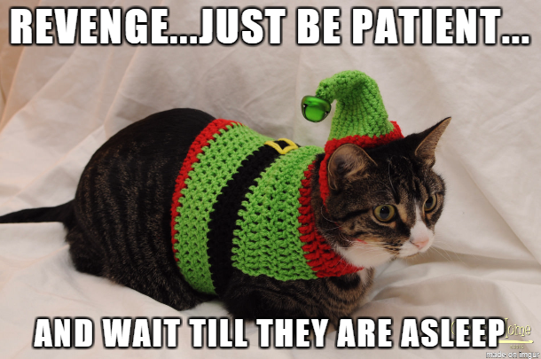 PetZoomies's tweet photo. 😹😹 https://t.co/EA5SudTJoz