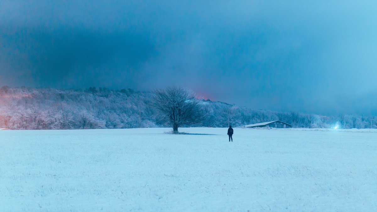 whateveroxy's tweet photo. snowchild https://t.co/G0Gjye0t8K