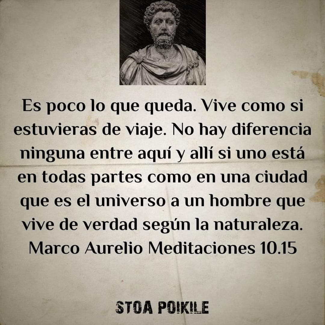 Lilydetalca's tweet photo. 👇 https://t.co/GSLjyQ38tE