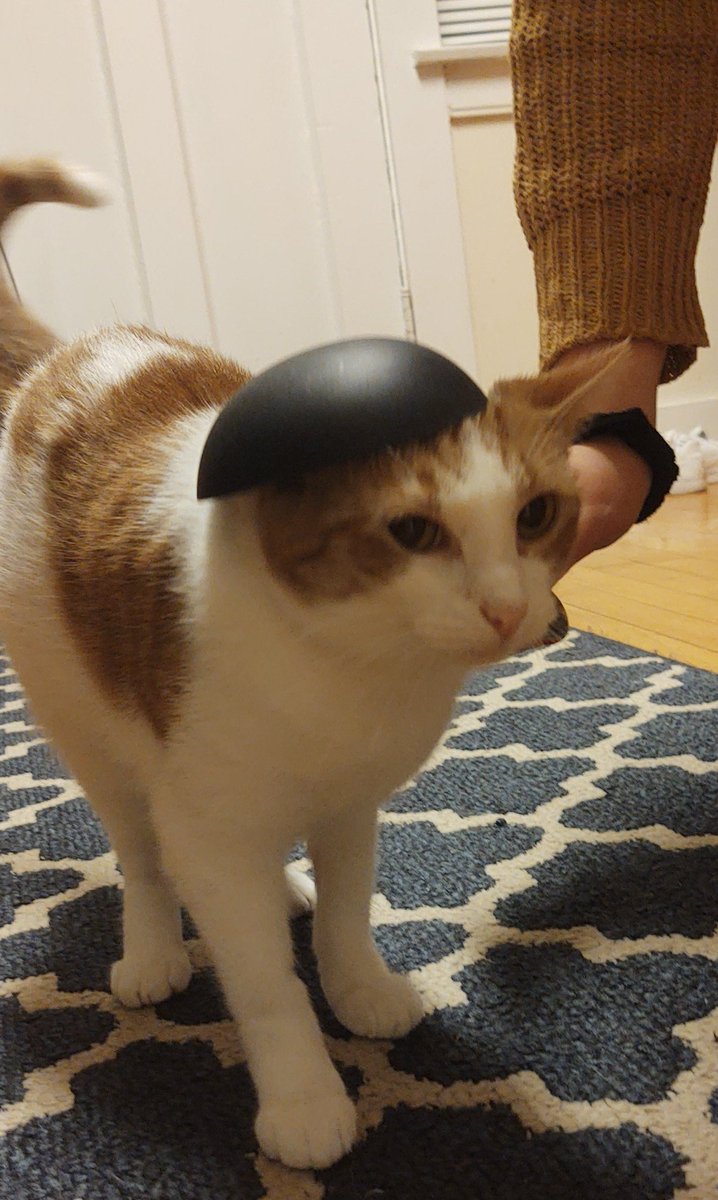 mynamestinky's tweet photo. ~ fashun ~ how,, do i loook?? https://t.co/ql6iJzBgV2