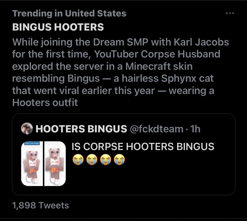 _xmooniex_'s tweet photo. This is just.. BINGUS HOOTERS #HAILBINGUS  #CORPSE 
@Corpse_Husband https://t.co/K7BgHDiEbr